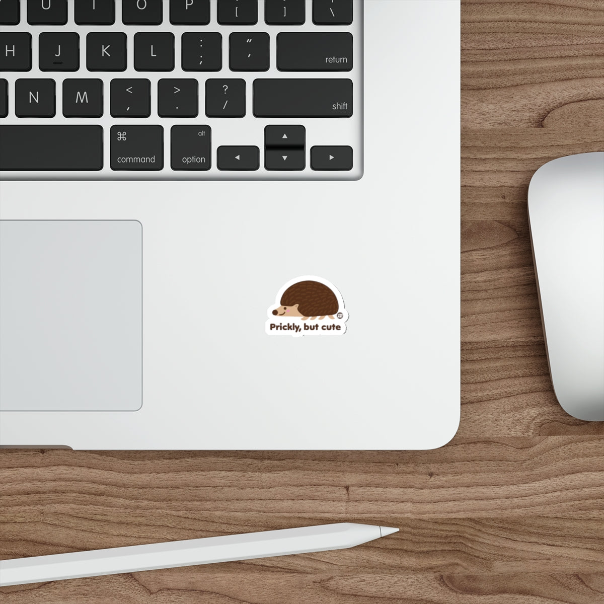 Prickly But Cute Hedgehog Printed Sticker product