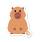 Fluffy tan capybara with pink cheeks – lovable Boo Boo Buddies® animal collectible sticker
