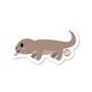 Comodo Dragon - 3" Vinyl Sticker