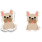 Cute French bulldog sticker with round eyes, droopy ears, and sticking-out tongue
