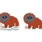 Orangutan Vinyl Sticker