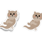 Otter Sticker - 3" Vinyl