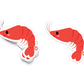 Shrimp Sticker