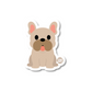 Cute French bulldog sticker with round eyes, droopy ears, and sticking-out tongue
